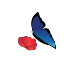 Favicon Maenola Correctrice