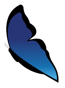 Logo maenola correctrice papillon
