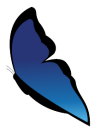 Logo maenola correctrice papillon